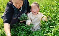 WRITEAS 巴掌狠揍